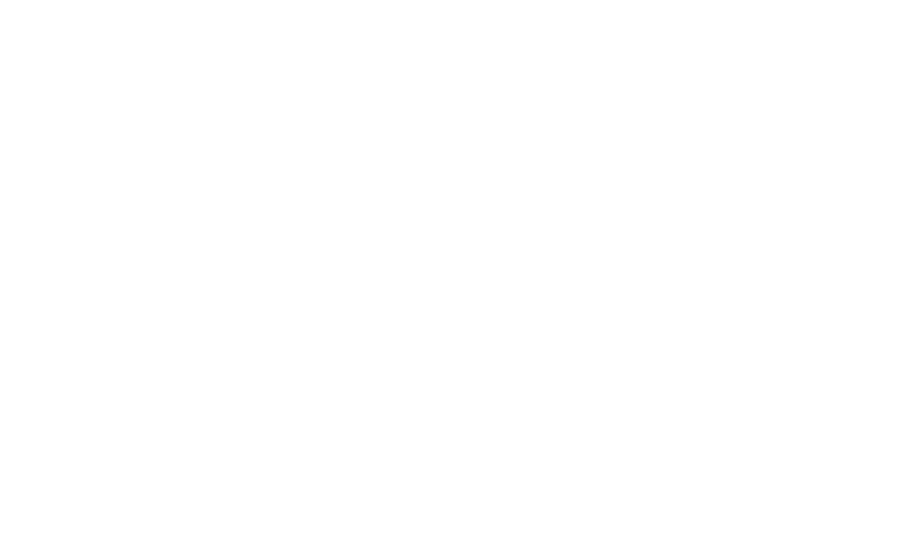 Racelink: The Horse Racing APP Logo